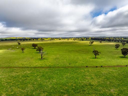 Farm Auction - NSW - Tubbul - 2594 - 'West Ardnaree' - Approx. 1,207 Acre Productive Grazing Country 