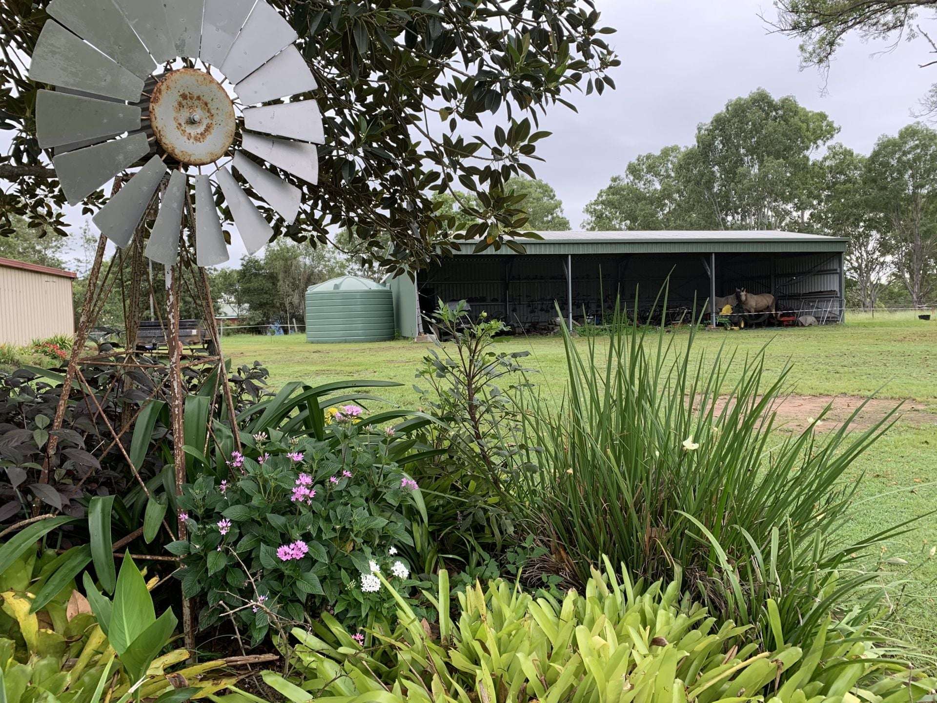 1961a Armidale Road, Coutts Crossing For Sale by Farmbuy.com - image 30