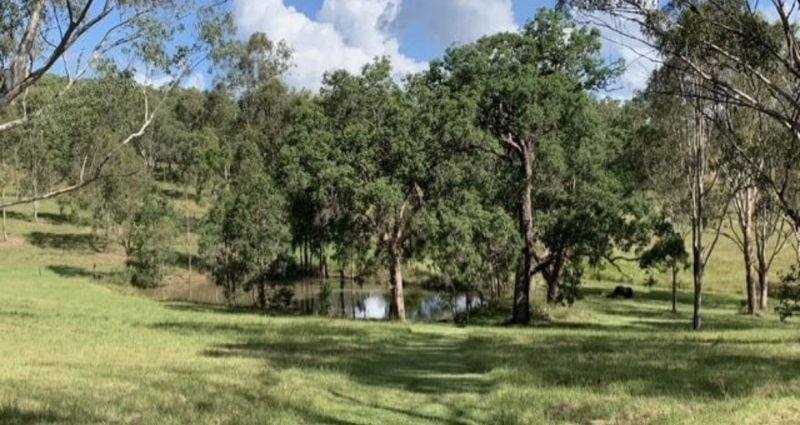 1961a Armidale Road, Coutts Crossing For Sale by Farmbuy.com - image 31