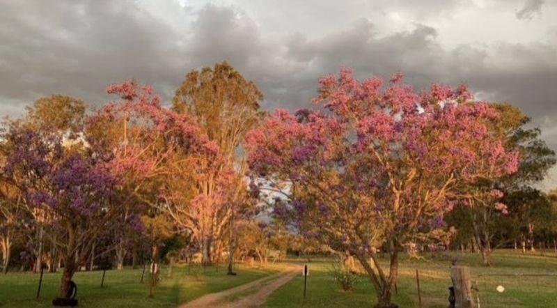 1961a Armidale Road, Coutts Crossing For Sale by Farmbuy.com - image 2