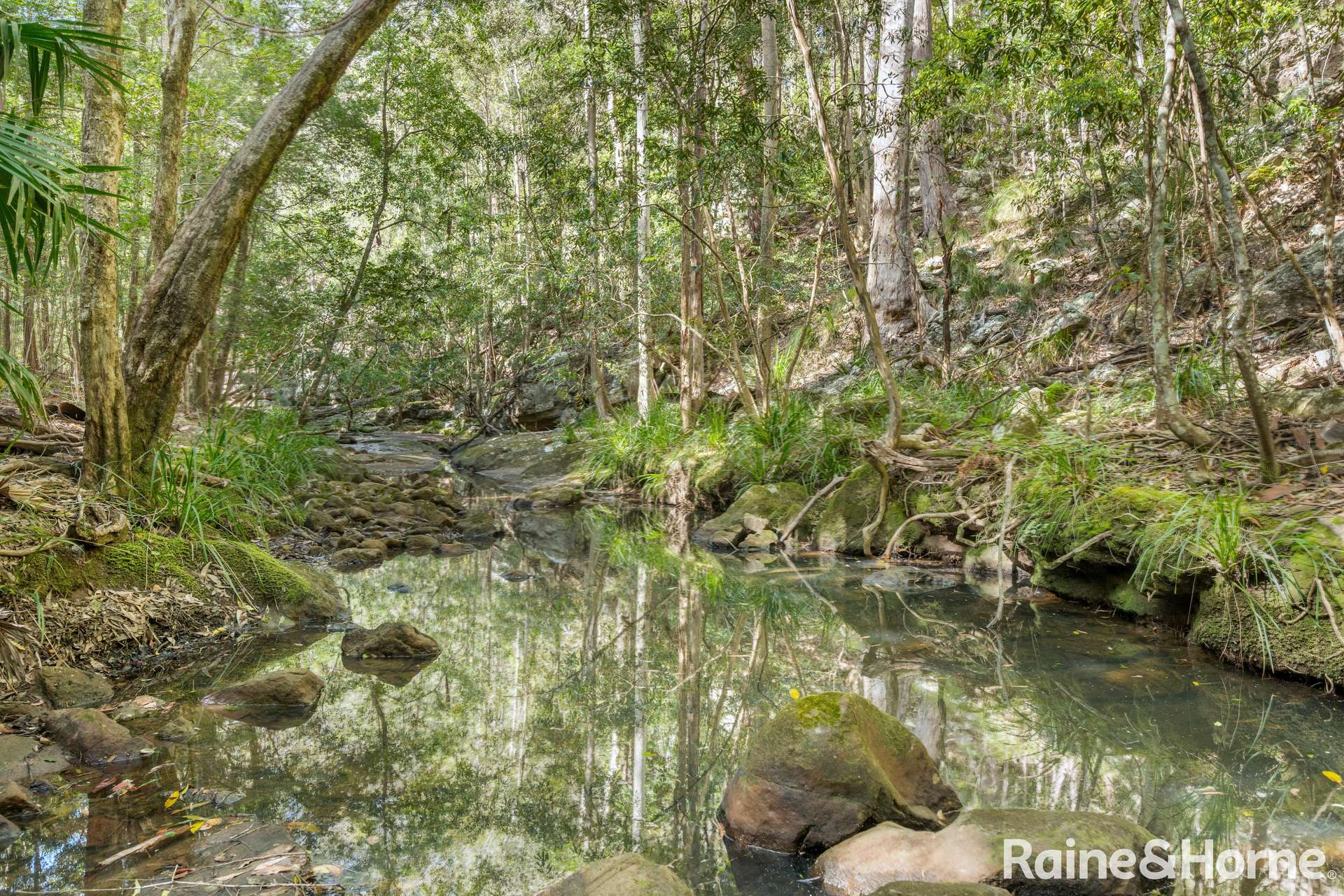 935 Illaroo Road, Tapitallee For Sale by Farmbuy.com - image 2