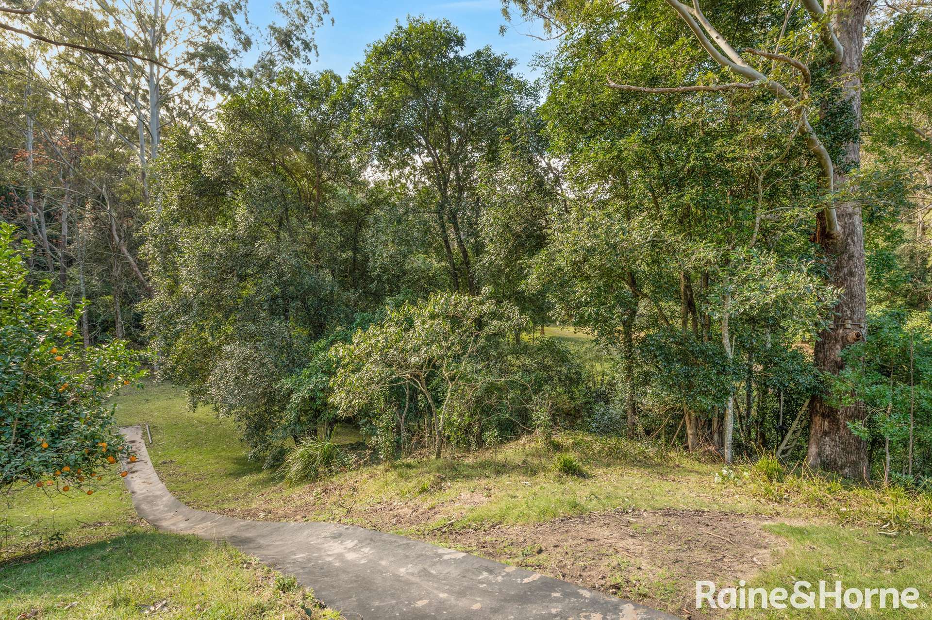 935 Illaroo Road, Tapitallee For Sale by Farmbuy.com - image 16