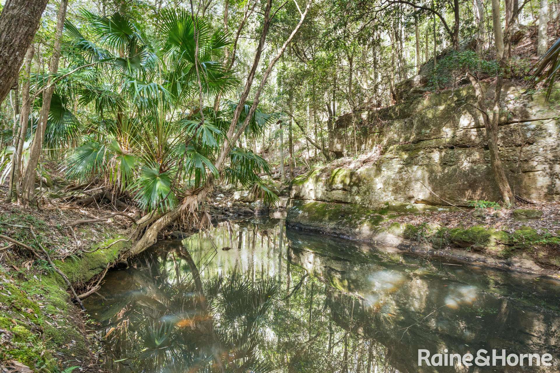 935 Illaroo Road, Tapitallee For Sale by Farmbuy.com - image 3
