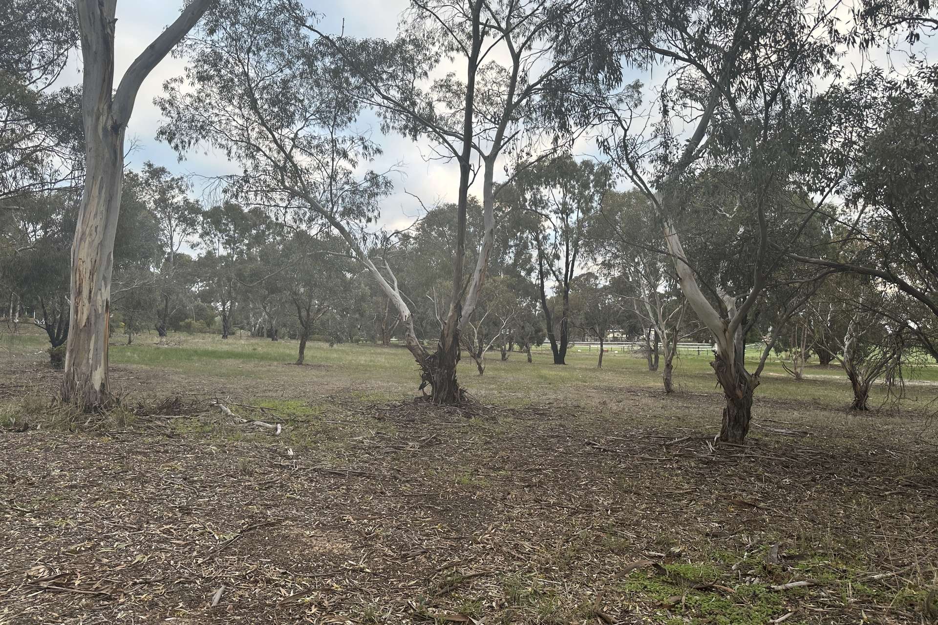 9 Haddleton Road, Woodanilling For Sale by Farmbuy.com - image 32