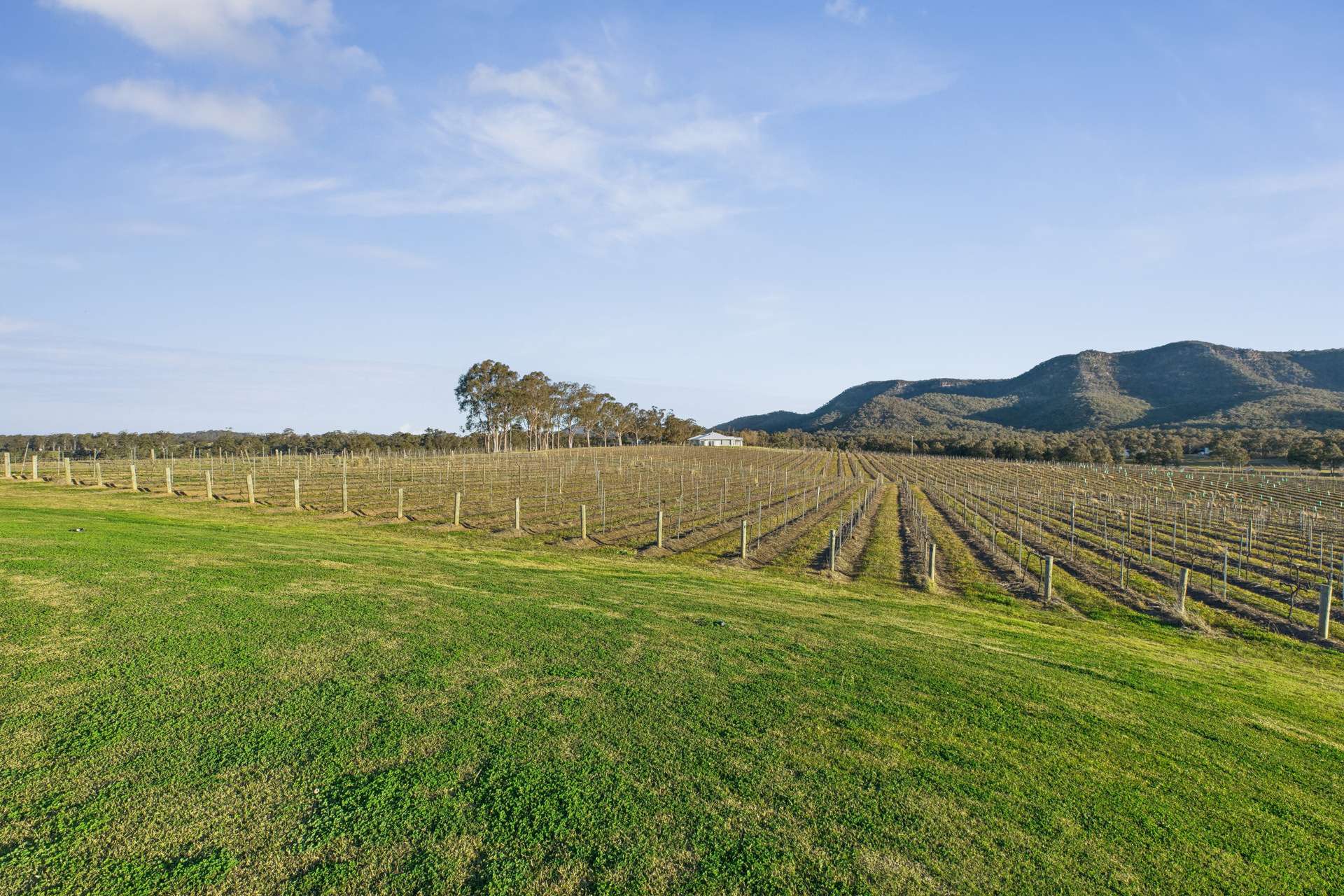 Lot 213/1693 Broke Road, Pokolbin For Sale by Farmbuy.com - image 23