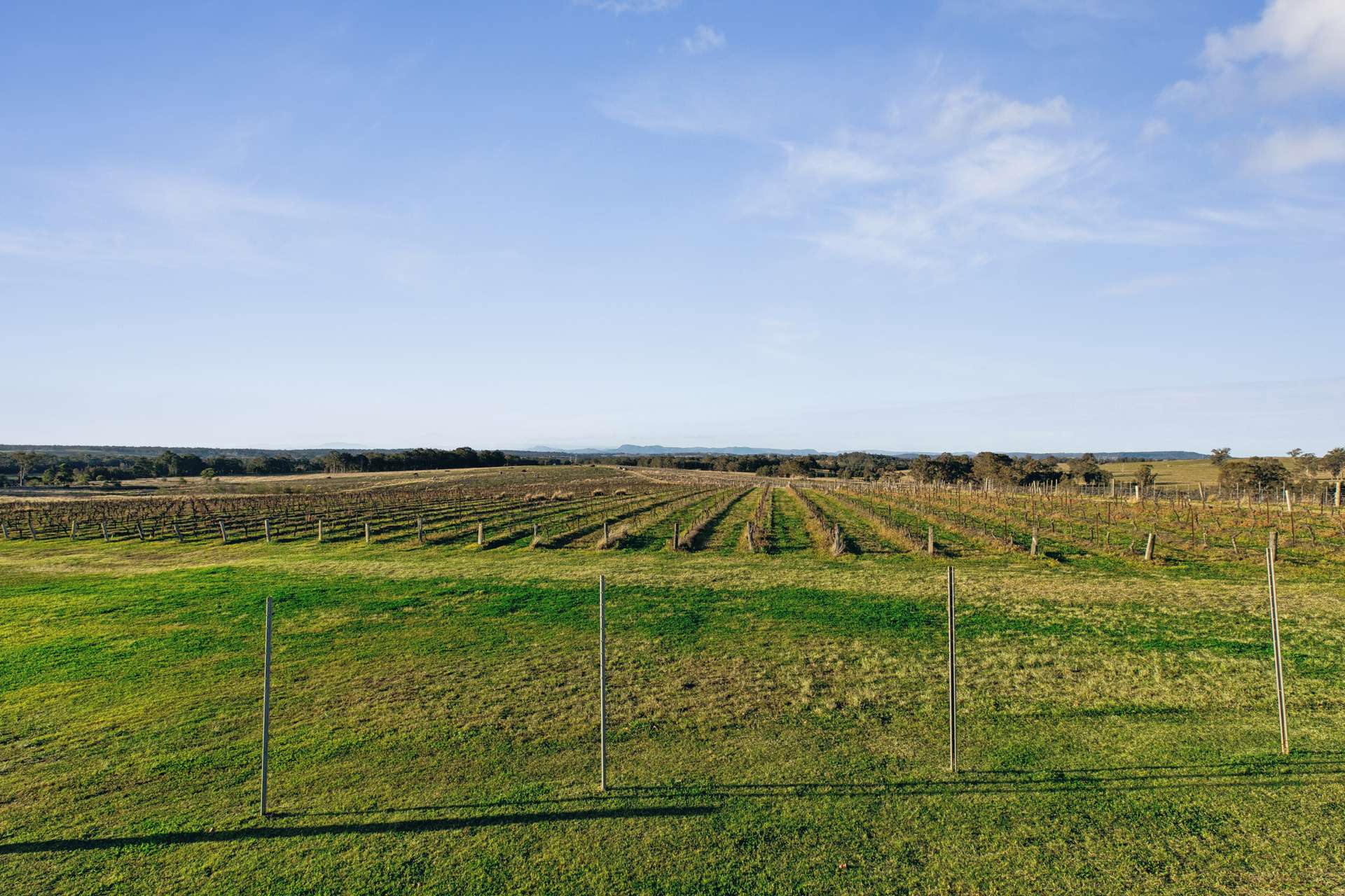 Lot 213/1693 Broke Road, Pokolbin For Sale by Farmbuy.com - image 22