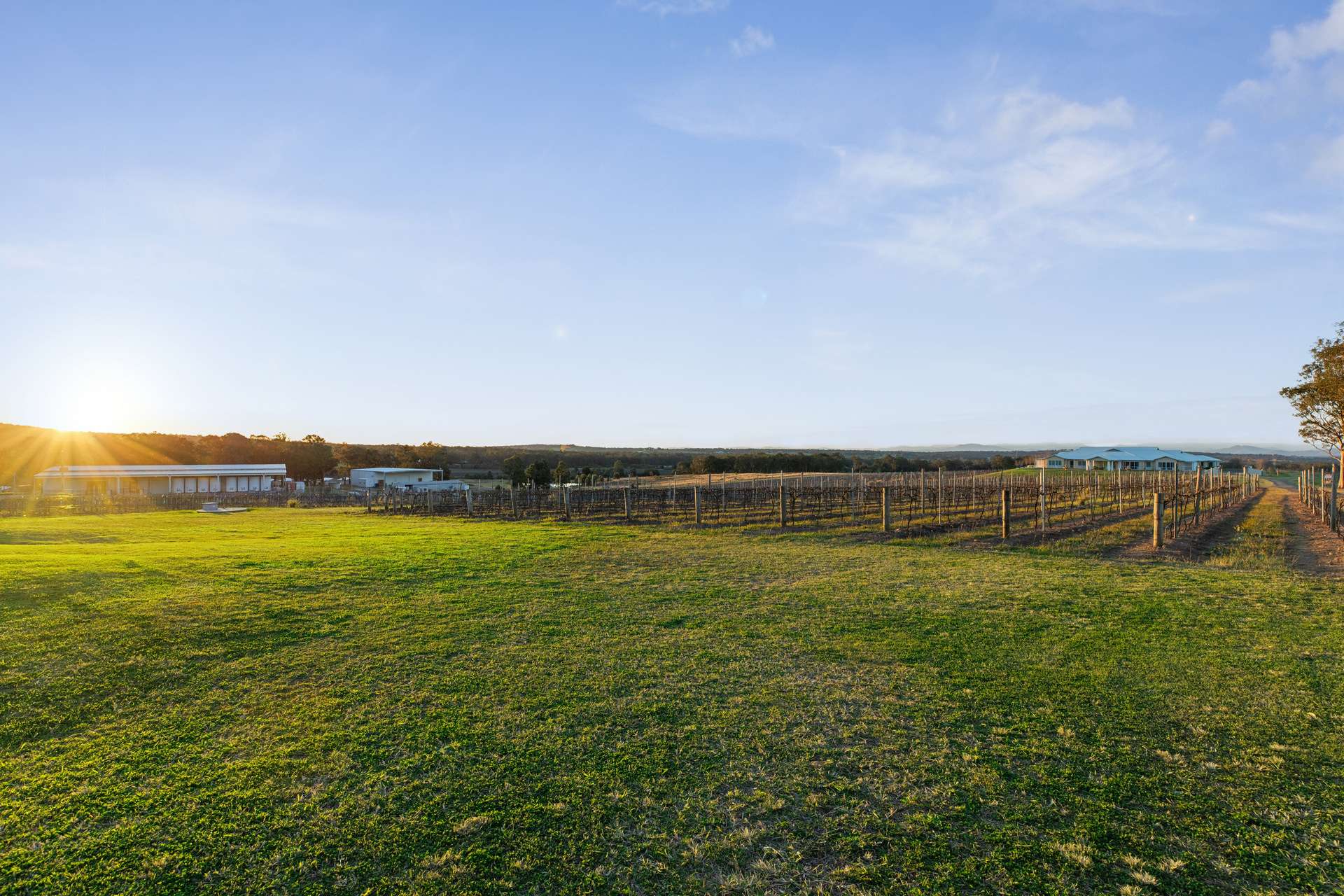 Lot 213/1693 Broke Road, Pokolbin For Sale by Farmbuy.com - image 21