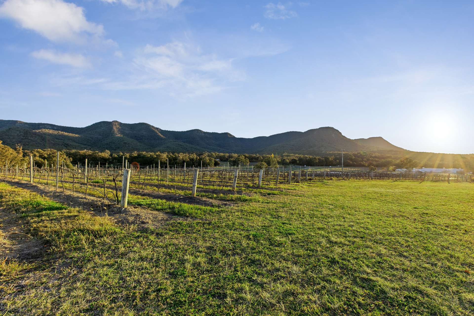 Lot 213/1693 Broke Road, Pokolbin For Sale by Farmbuy.com - image 24
