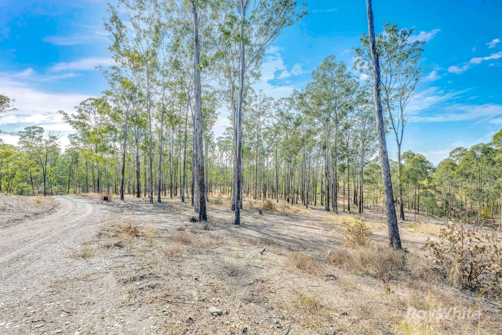 244 St Kilda Road, Tirroan For Sale by Farmbuy.com - image 23