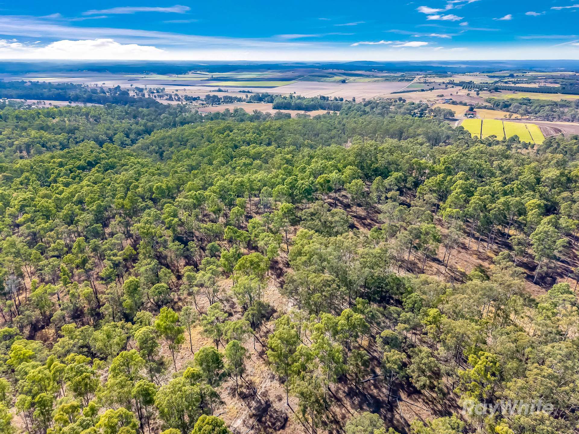 244 St Kilda Road, Tirroan For Sale by Farmbuy.com - image 28
