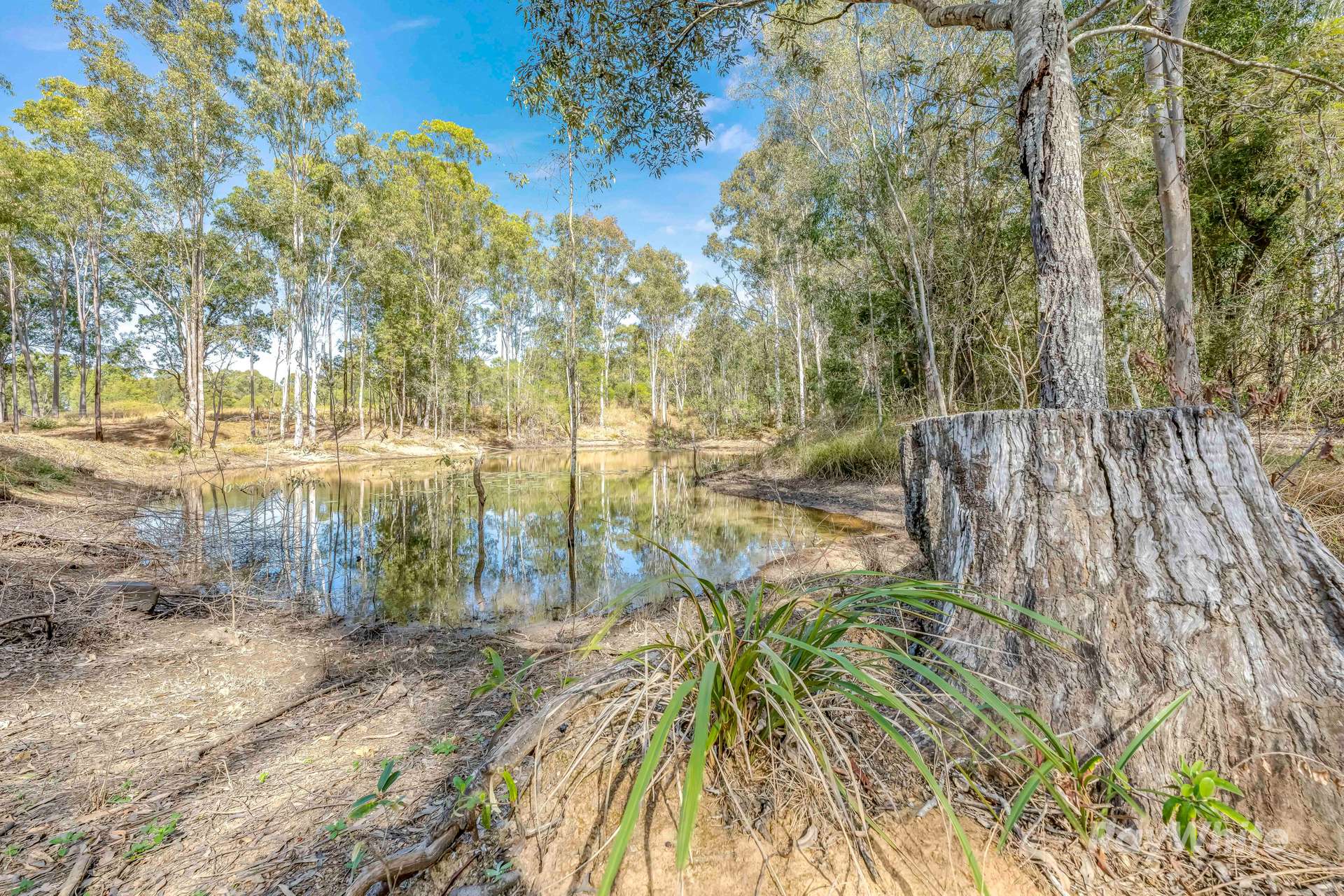 244 St Kilda Road, Tirroan For Sale by Farmbuy.com - image 24
