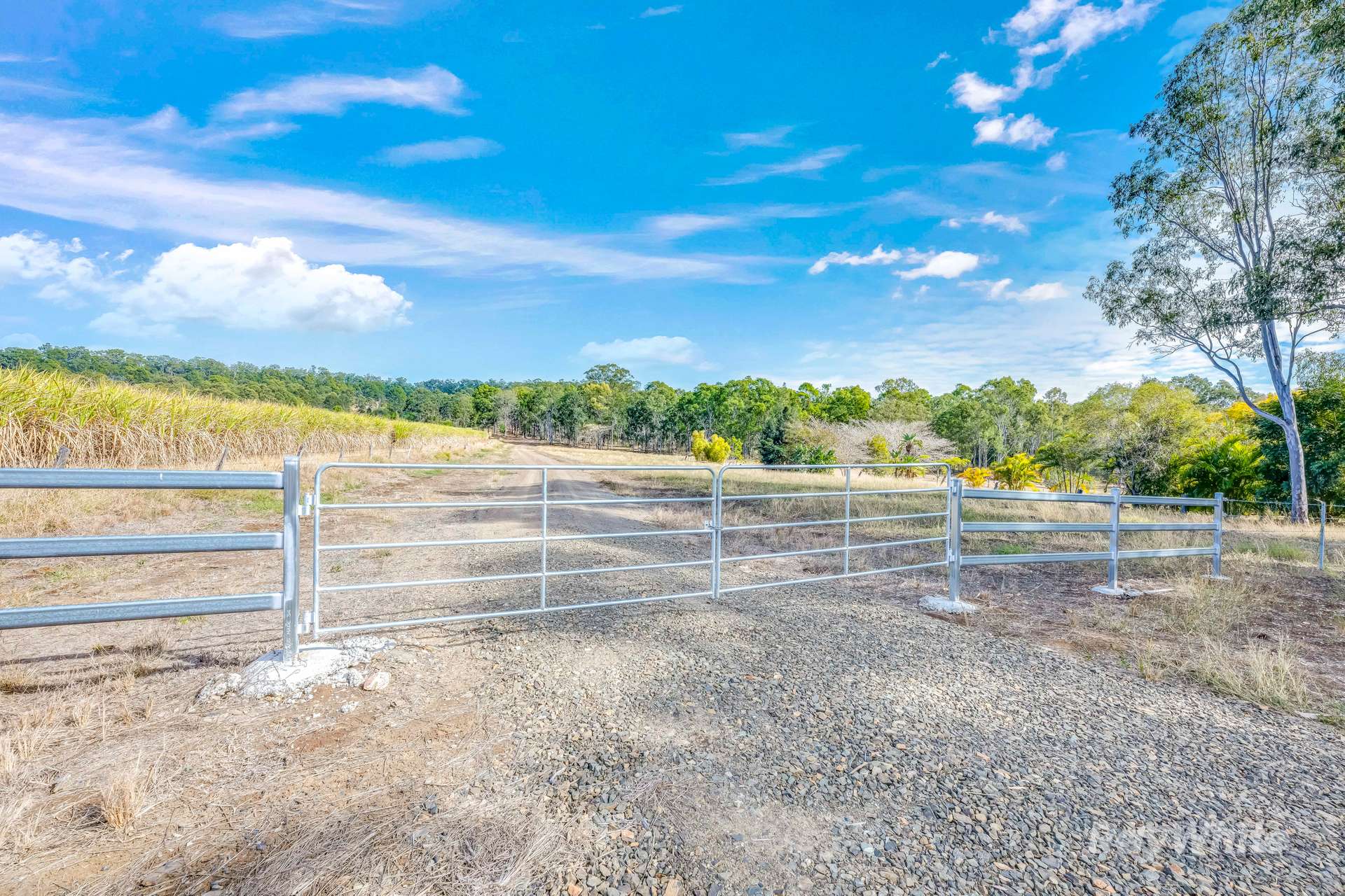 244 St Kilda Road, Tirroan For Sale by Farmbuy.com - image 3