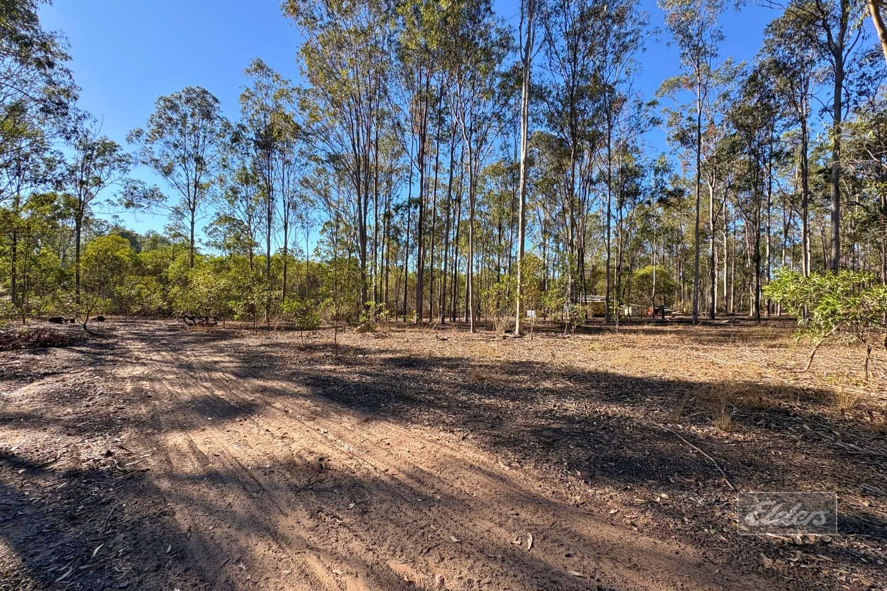 Lot 20 Flinders Drive, Paterson For Sale by Farmbuy.com - image 13