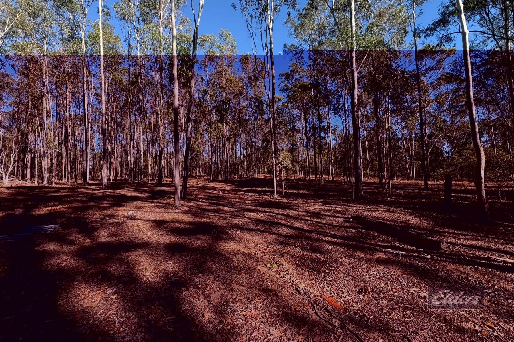 Lot 20 Flinders Drive, Paterson For Sale by Farmbuy.com - image 7