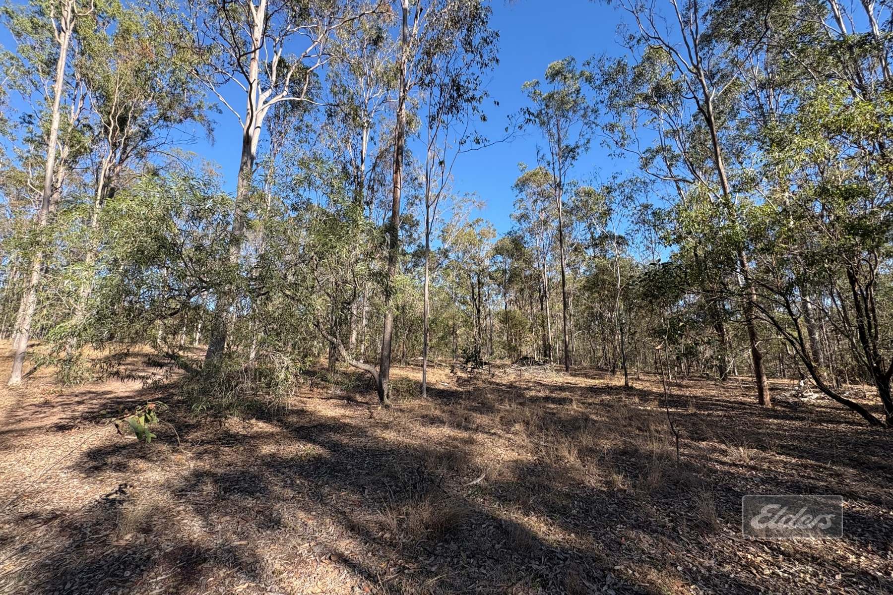 Lot 20 Flinders Drive, Paterson For Sale by Farmbuy.com - image 14