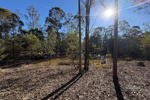 Farm For Sale - QLD - Paterson - 4570 - 40 ACRES TO MAKE YOUR OWN 