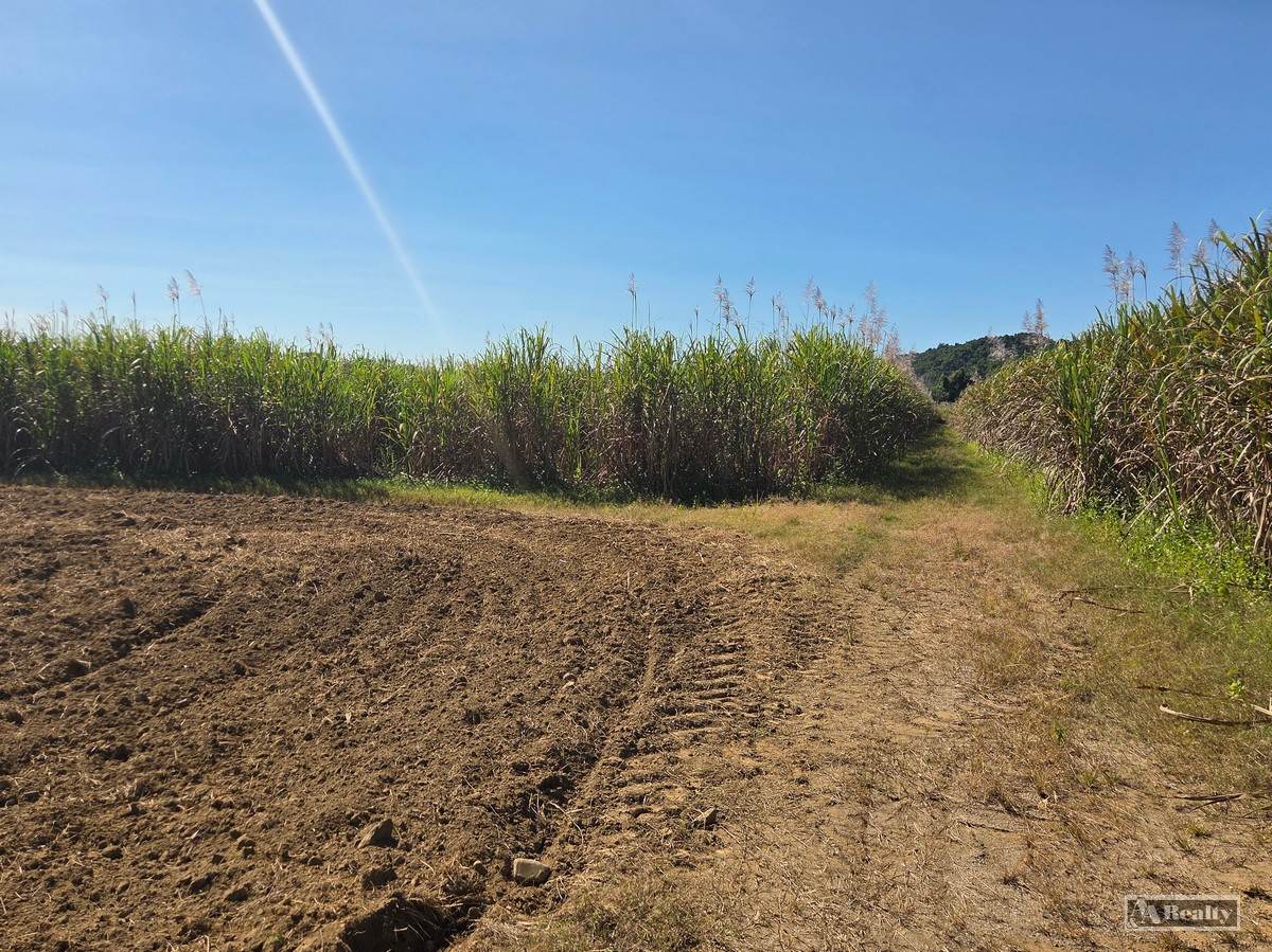 Lots 2 & 2 Menzies Road, Bartle Frere For Sale by Farmbuy.com - image 2