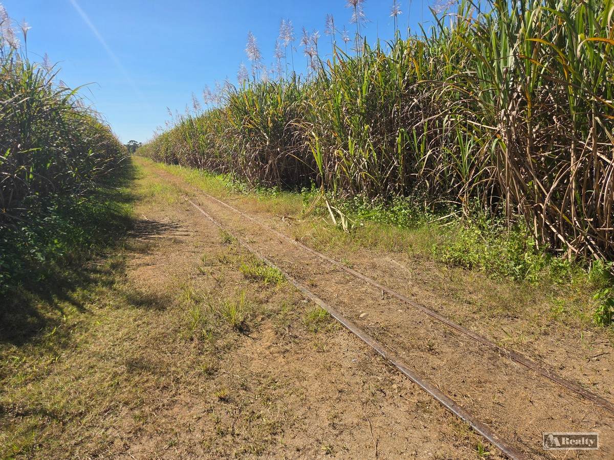 Lots 2 & 2 Menzies Road, Bartle Frere For Sale by Farmbuy.com - image 6