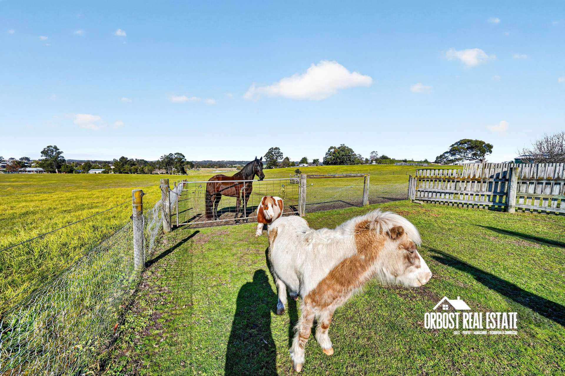21 Jarrahmond Road, Orbost For Sale by Farmbuy.com - image 23
