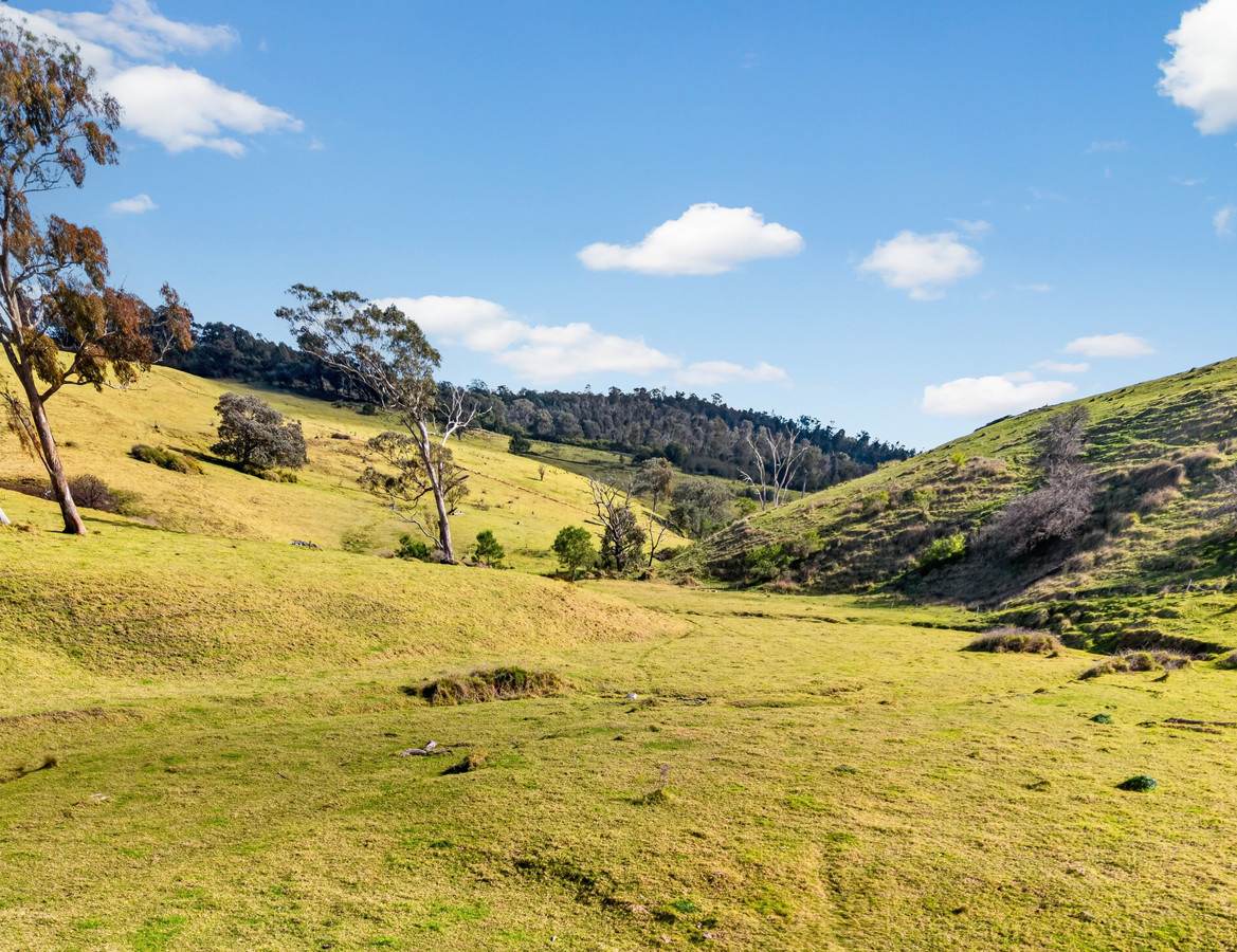 43 Butler Street, Seaton For Sale by Farmbuy.com - image 15