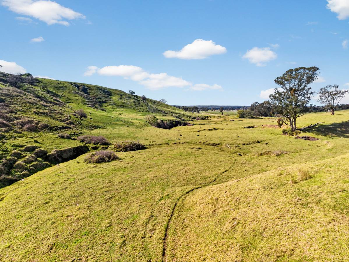 43 Butler Street, Seaton For Sale by Farmbuy.com - image 18