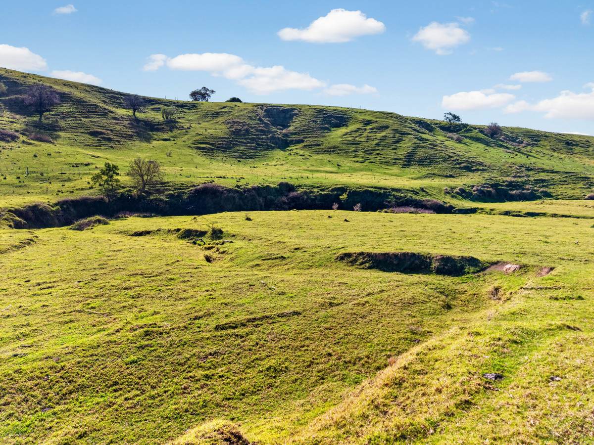 43 Butler Street, Seaton For Sale by Farmbuy.com - image 14