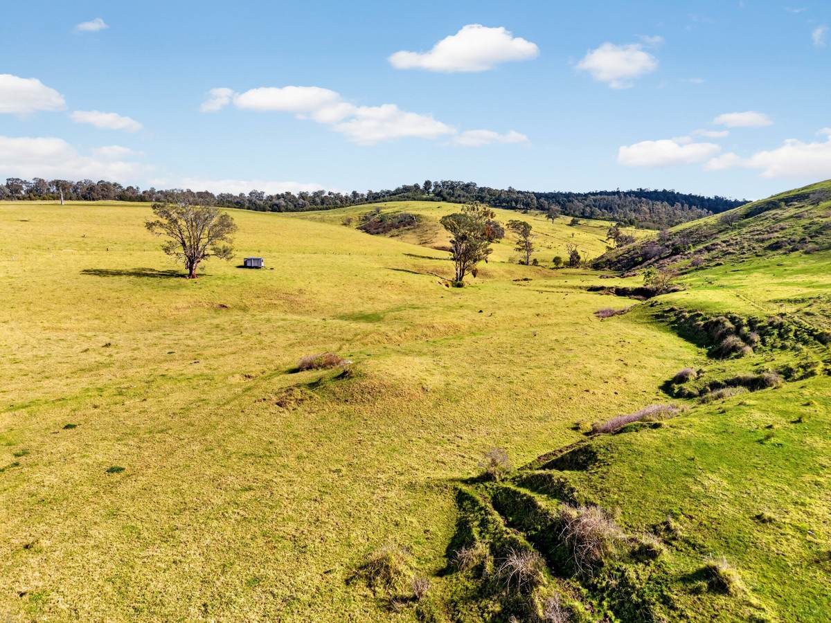 43 Butler Street, Seaton For Sale by Farmbuy.com - image 21