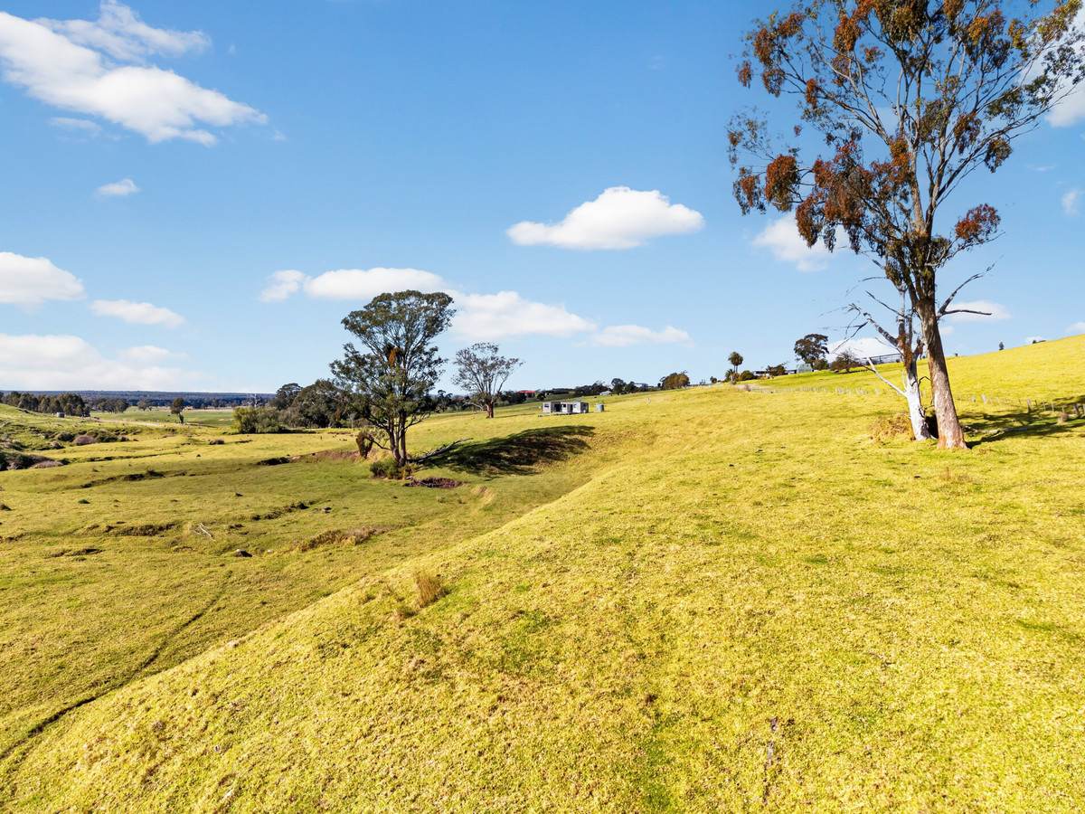 43 Butler Street, Seaton For Sale by Farmbuy.com - image 17