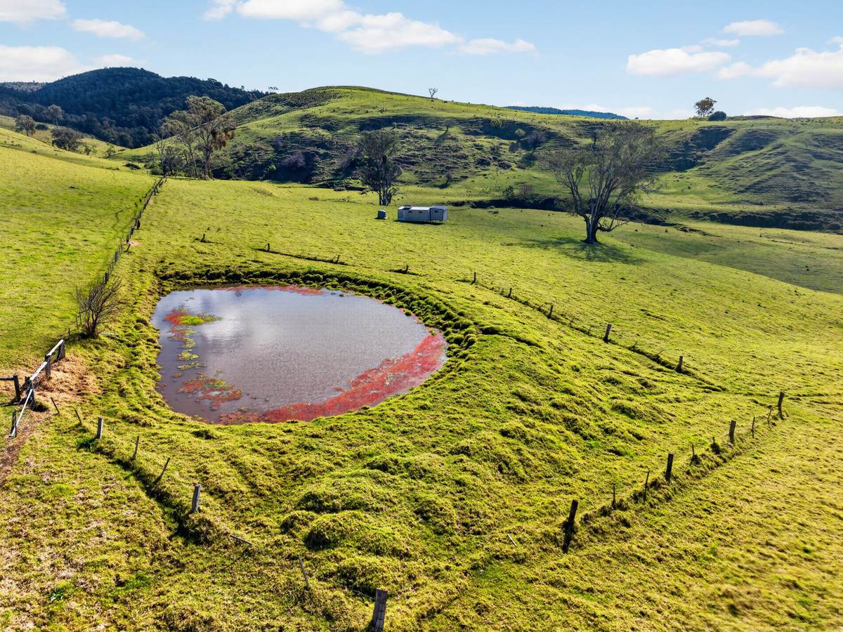 43 Butler Street, Seaton For Sale by Farmbuy.com - image 12