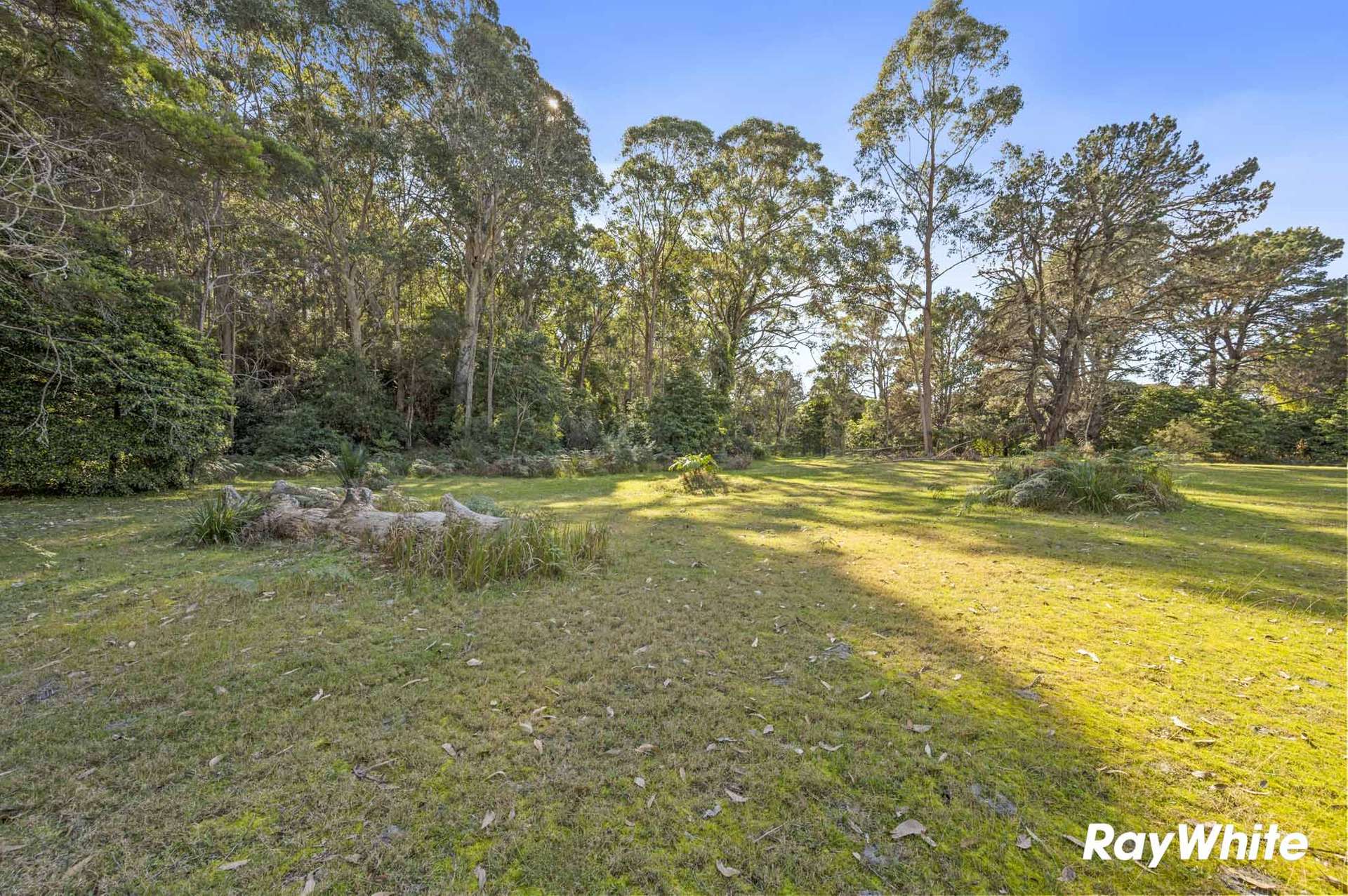 498 North Head Drive, Moruya Auction by Farmbuy.com - image 8