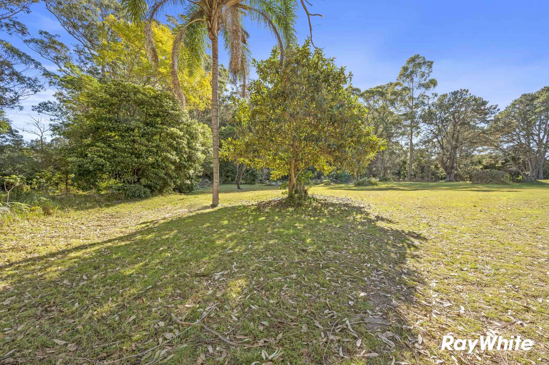 498 North Head Drive, Moruya Auction by Farmbuy.com - image 7