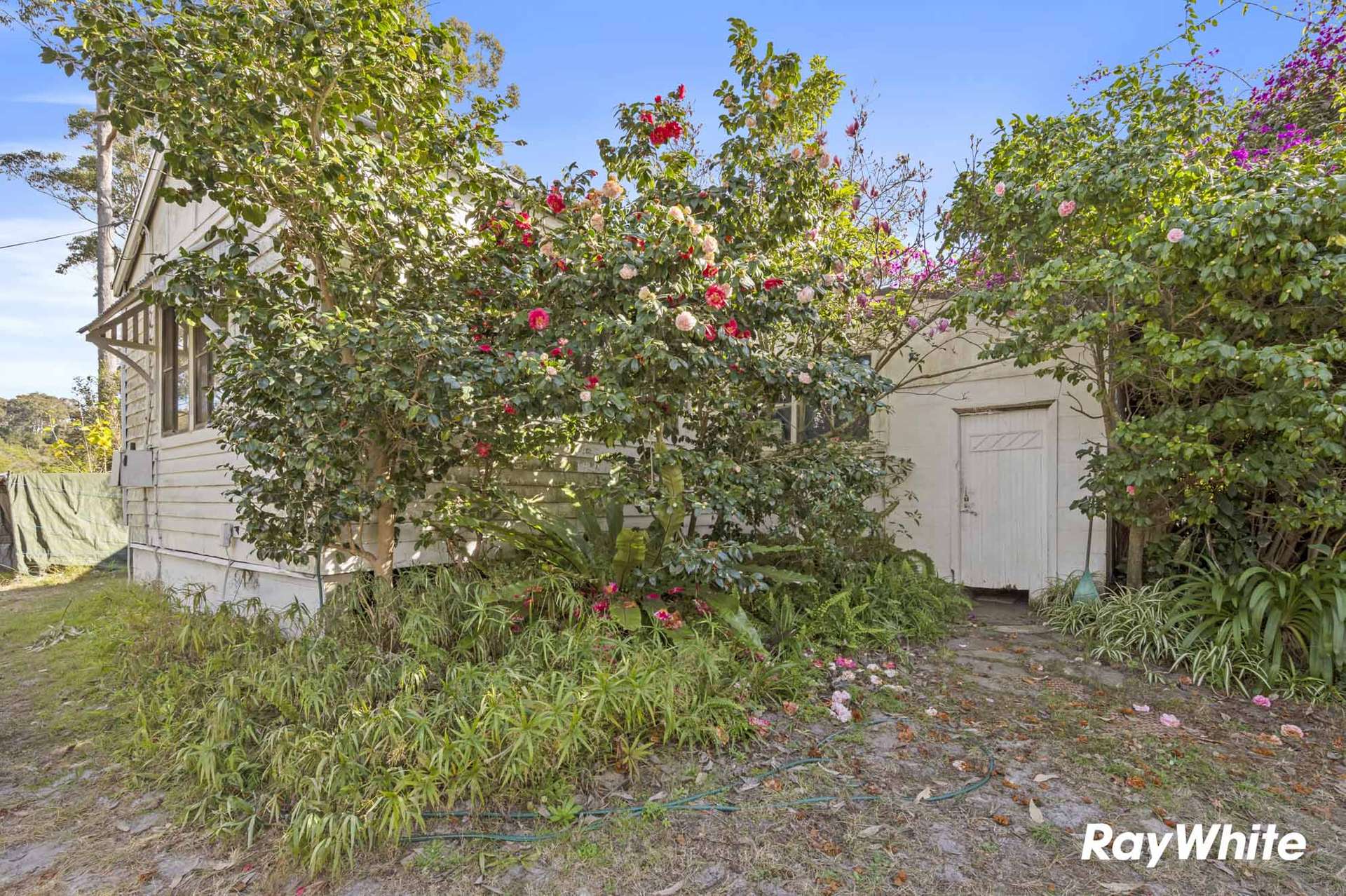 498 North Head Drive, Moruya Auction by Farmbuy.com - image 11
