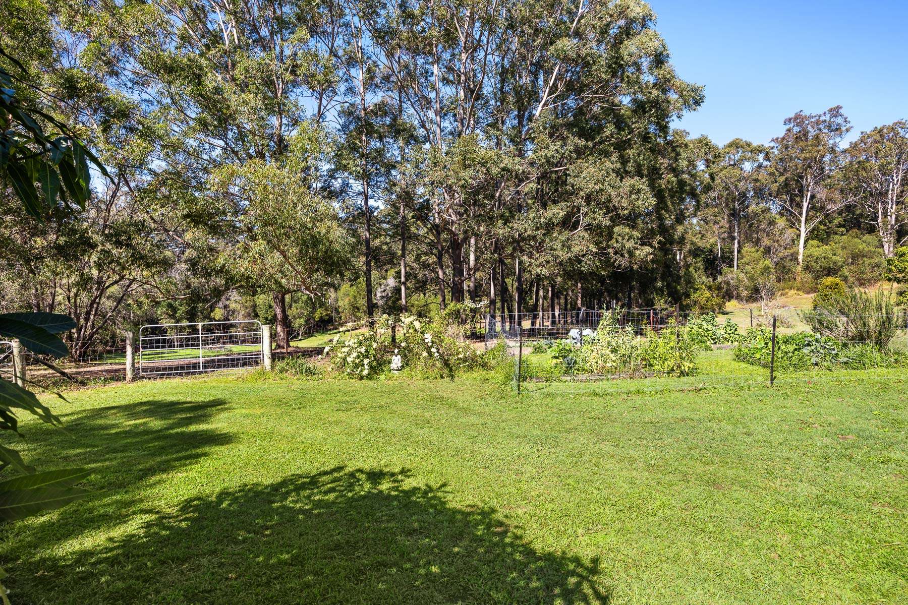 27 Limetree Lane, Pomona For Sale by Farmbuy.com - image 19