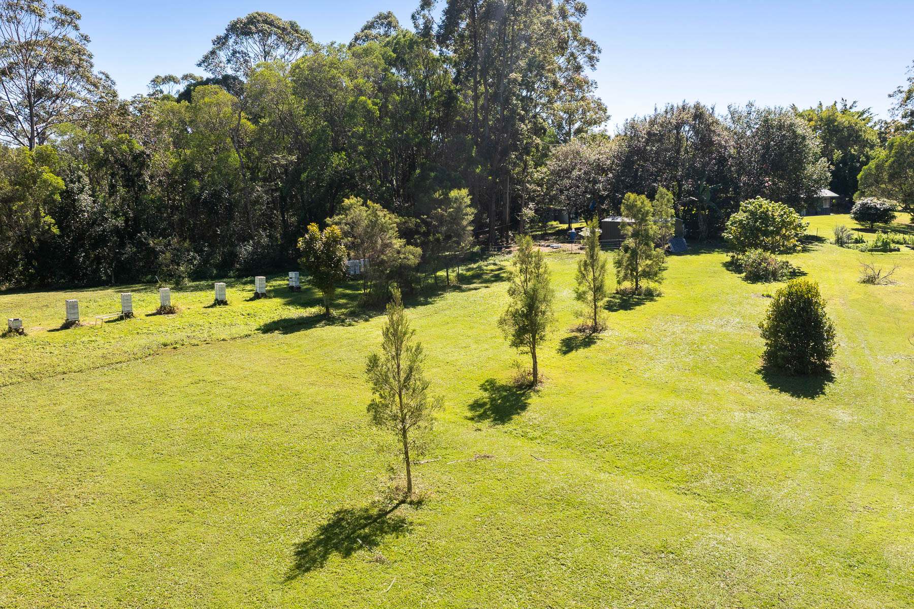 27 Limetree Lane, Pomona For Sale by Farmbuy.com - image 18