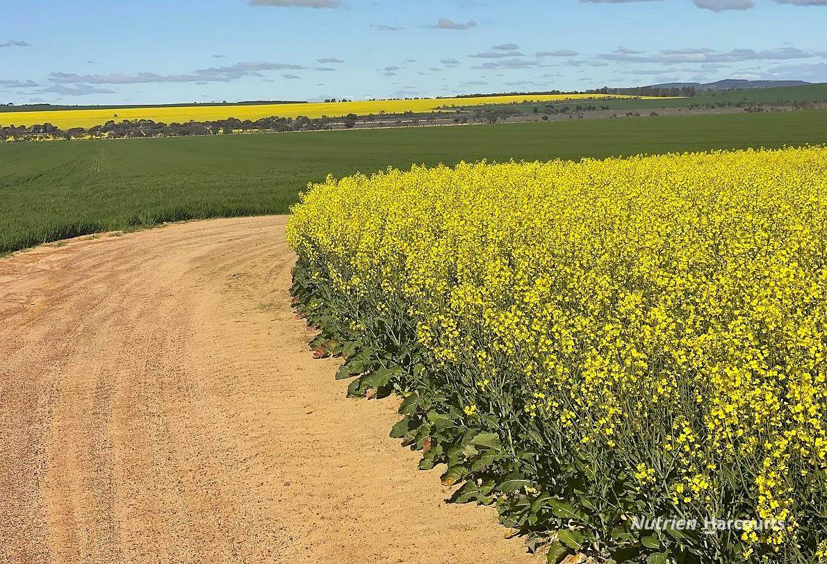 127 Mailey Road, West Ballidu For Sale by Farmbuy.com - image 1