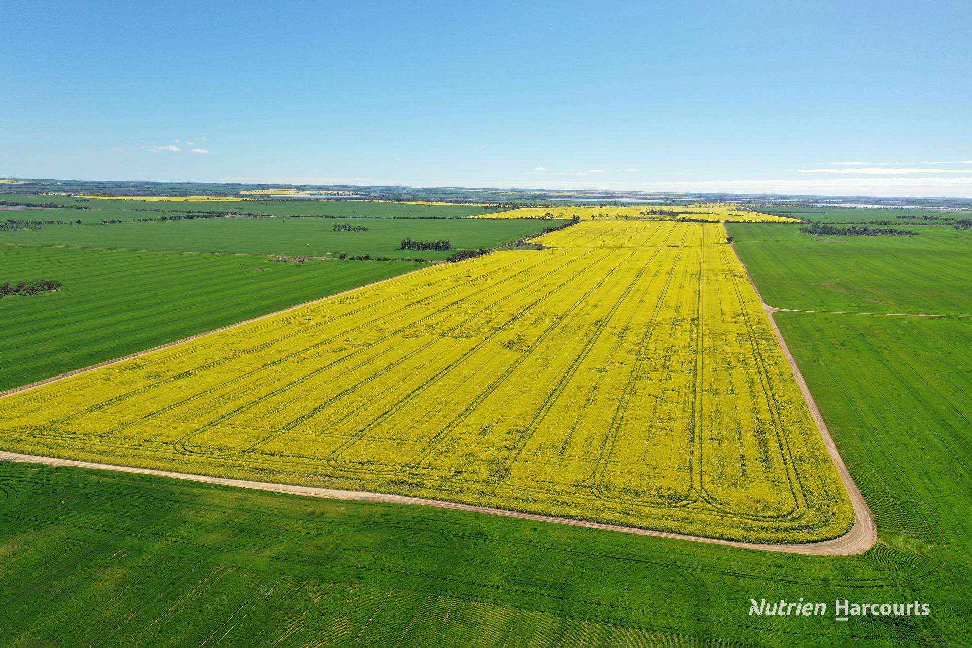 127 Mailey Road, West Ballidu For Sale by Farmbuy.com - image 4
