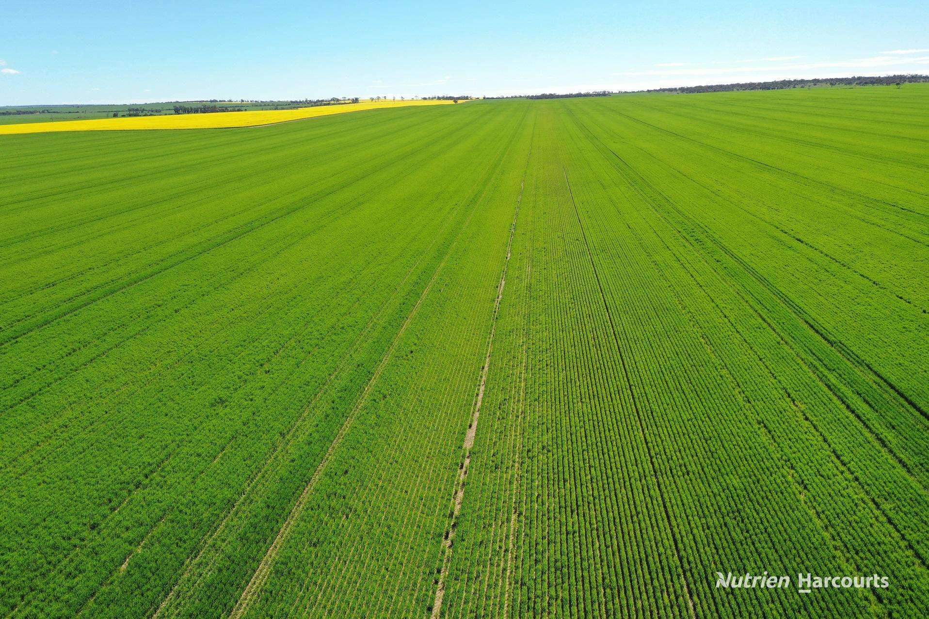 127 Mailey Road, West Ballidu For Sale by Farmbuy.com - image 5