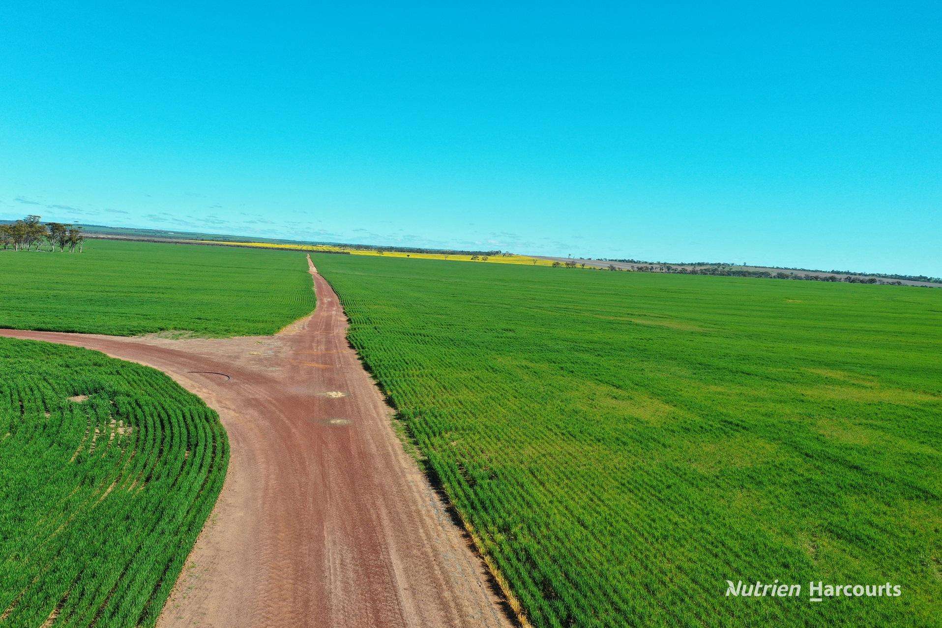 127 Mailey Road, West Ballidu For Sale by Farmbuy.com - image 2