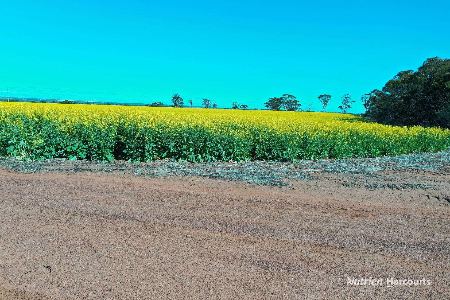 127 Mailey Road, West Ballidu For Sale by Farmbuy.com - image 11