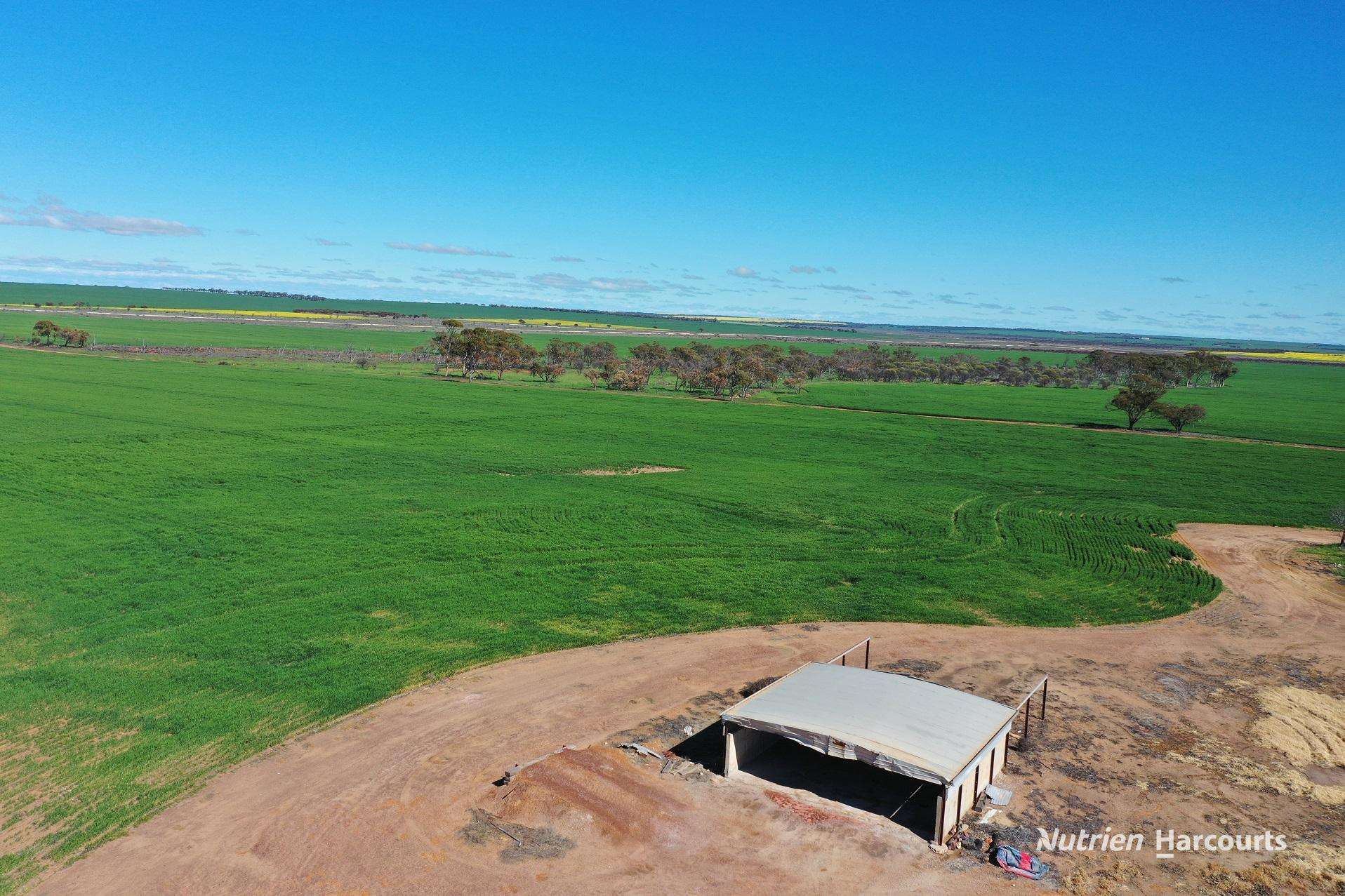 127 Mailey Road, West Ballidu For Sale by Farmbuy.com - image 14