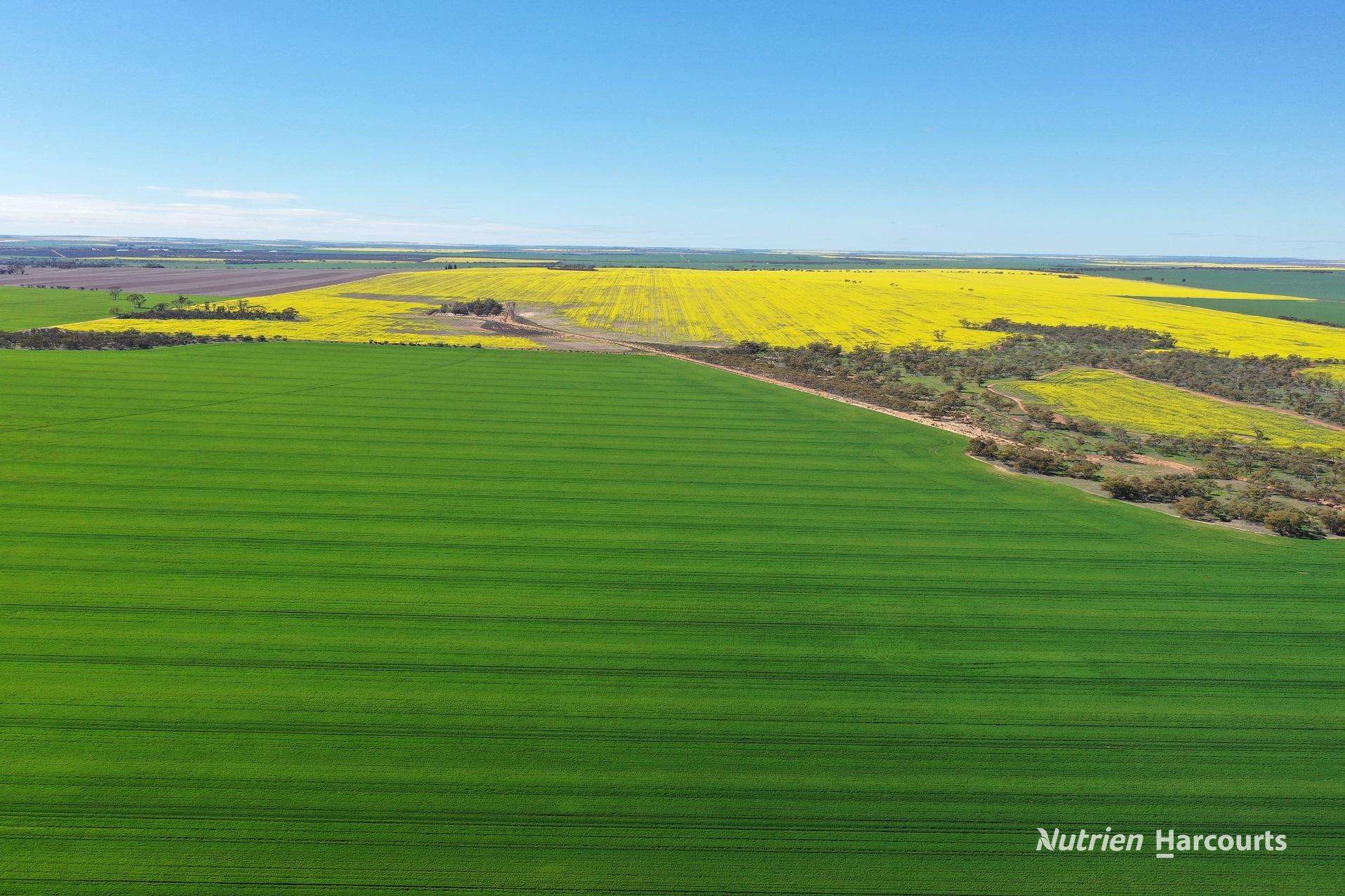 127 Mailey Road, West Ballidu For Sale by Farmbuy.com - image 7
