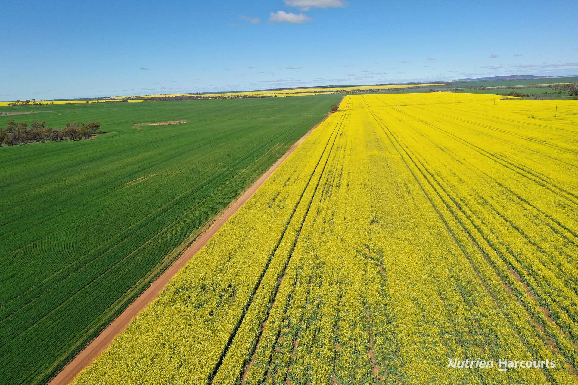 127 Mailey Road, West Ballidu For Sale by Farmbuy.com - image 15