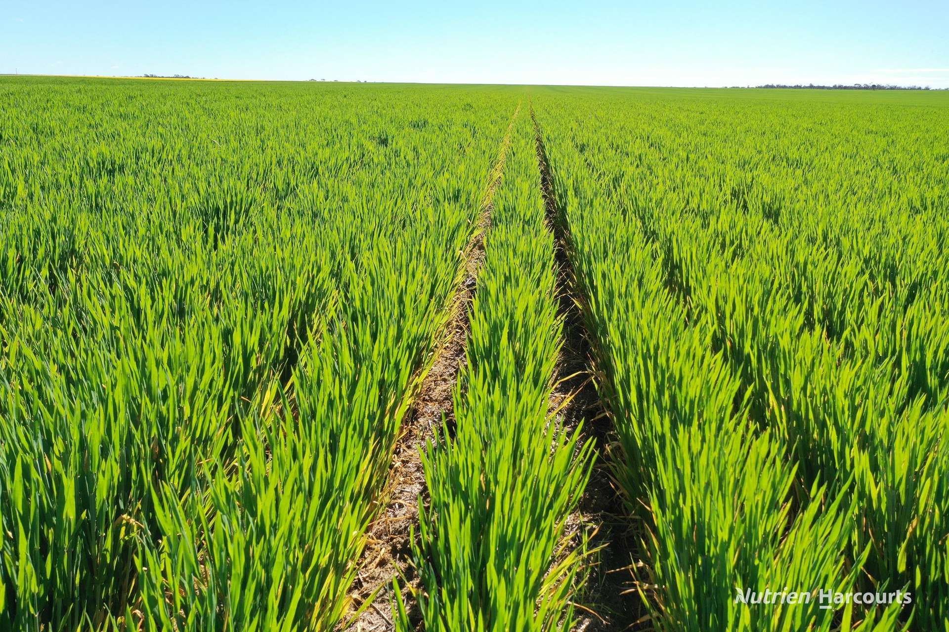 127 Mailey Road, West Ballidu For Sale by Farmbuy.com - image 9