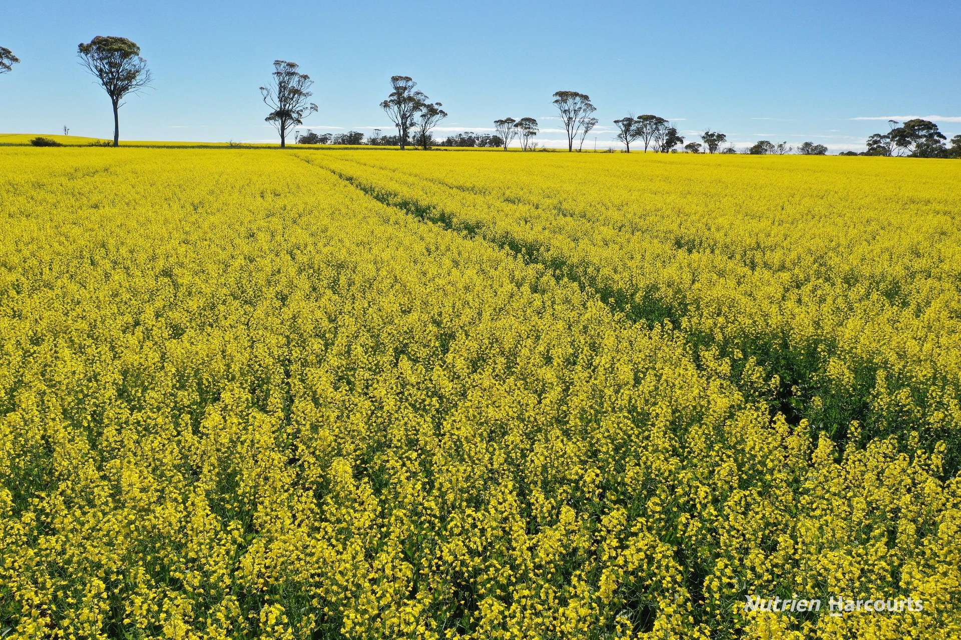 127 Mailey Road, West Ballidu For Sale by Farmbuy.com - image 12