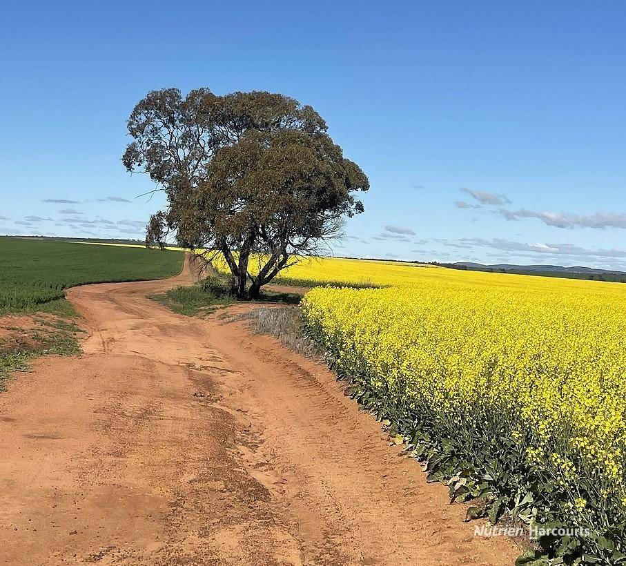 127 Mailey Road, West Ballidu For Sale by Farmbuy.com - image 13
