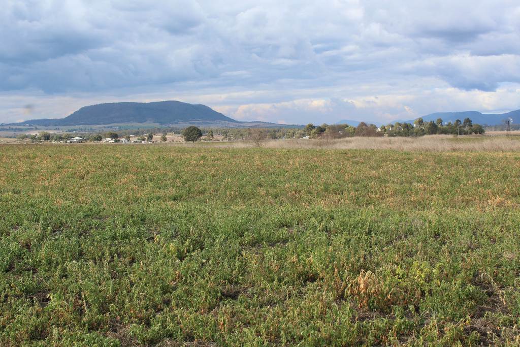 3 Briggs Road, Swan Creek QLD 4370