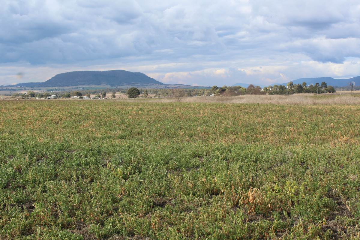 3 Briggs Road, Swan Creek For Sale by Farmbuy.com - image 1