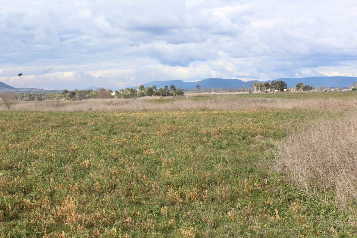 3 Briggs Road, Swan Creek For Sale by Farmbuy.com - image 8