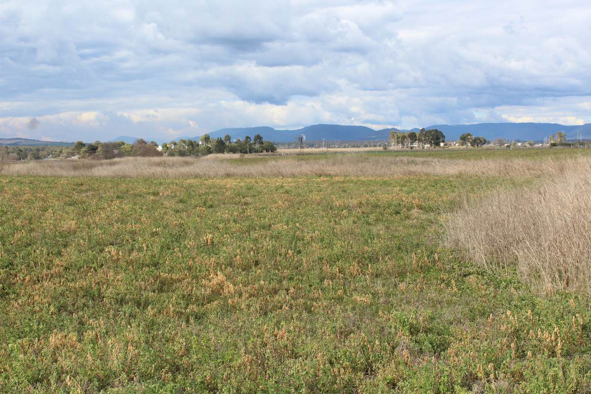 3 Briggs Road, Swan Creek For Sale by Farmbuy.com - image 6