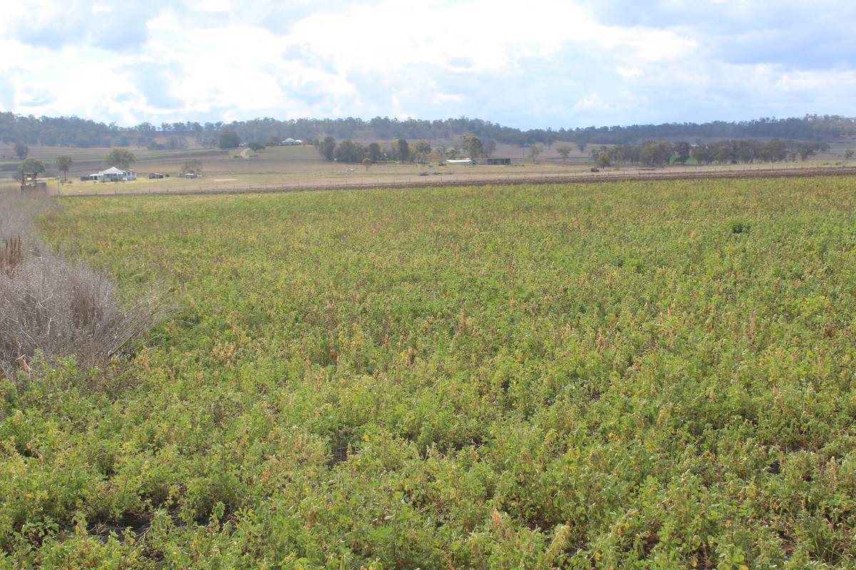 3 Briggs Road, Swan Creek For Sale by Farmbuy.com - image 2